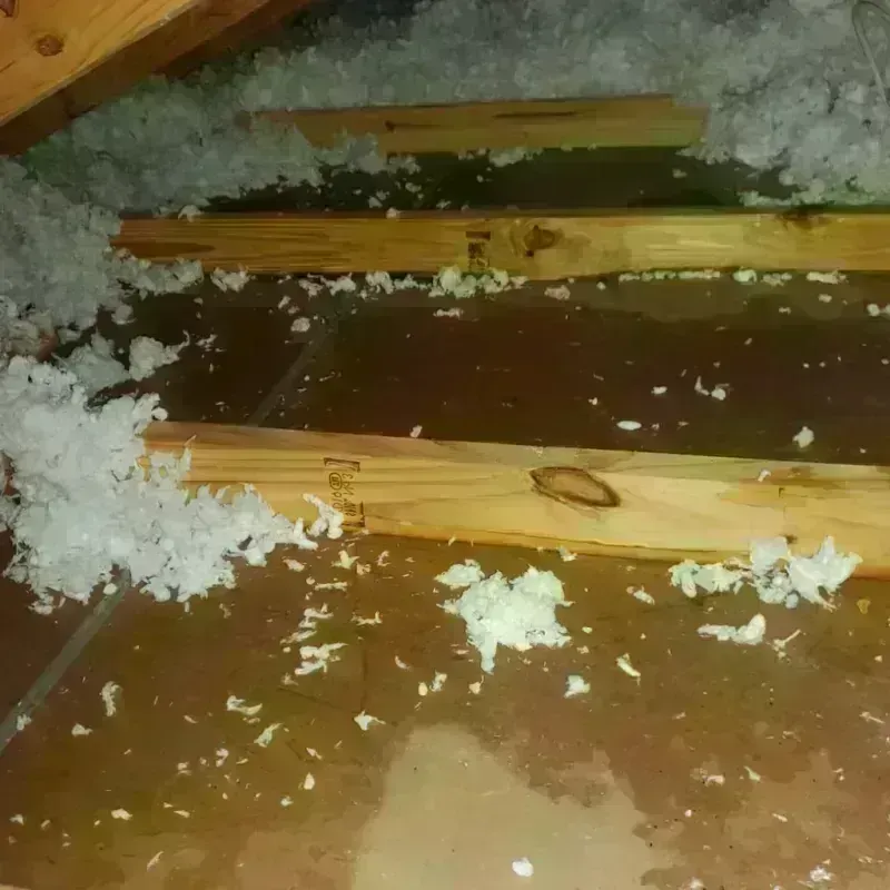 Attic Water Damage in Douglass, KS