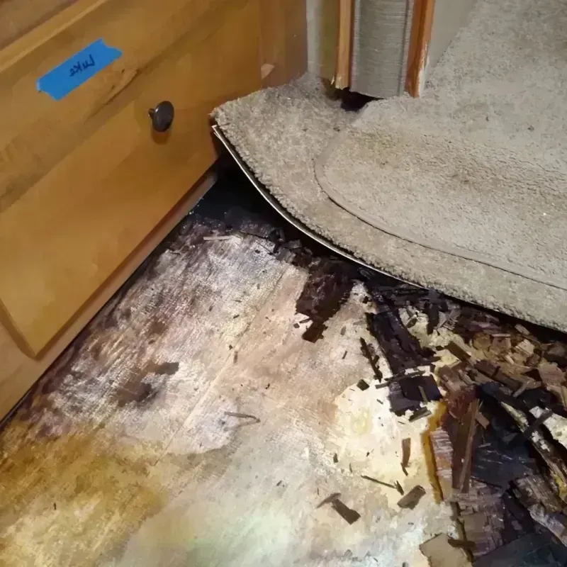 Best Wood Floor Water Damage Service in Douglass, KS